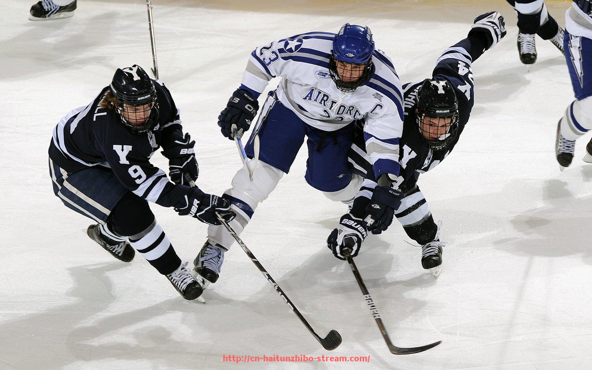 海豚直播-杭州健身房健身器材采购品牌与型号盘点